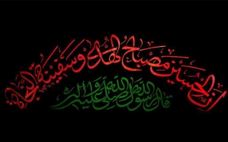 نرم افزار کشتی نجات